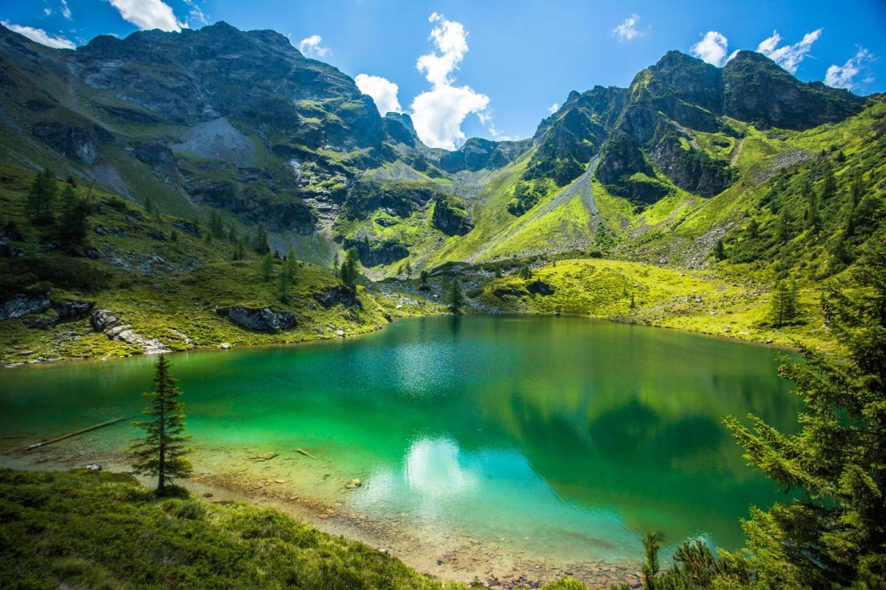 Готель Lettmaierhof Гаус-ім-Енншталь Екстер'єр фото